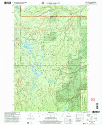 Download a high-resolution, GPS-compatible USGS topo map for Vista Falls, MI (2004 edition)