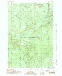 Download a high-resolution, GPS-compatible USGS topo map for Waco Lake, MI (1985 edition)