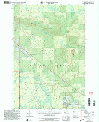 Download a high-resolution, GPS-compatible USGS topo map for Wakefield NE, MI (2004 edition)