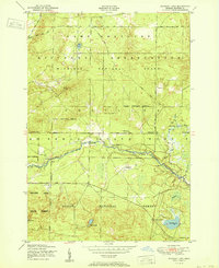 Download a high-resolution, GPS-compatible USGS topo map for Wakeley Lake, MI (1951 edition)