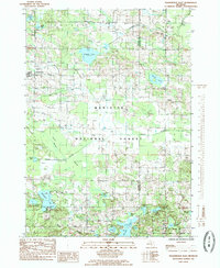 Download a high-resolution, GPS-compatible USGS topo map for Walkerville East, MI (1985 edition)