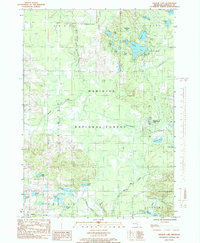Download a high-resolution, GPS-compatible USGS topo map for Walkup Lake, MI (1985 edition)