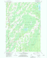 Download a high-resolution, GPS-compatible USGS topo map for Wallace, MI (1983 edition)