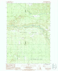 preview thumbnail of historical topo map of Wexford County, MI in 1987