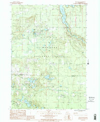 Download a high-resolution, GPS-compatible USGS topo map for Wellston, MI (1988 edition)