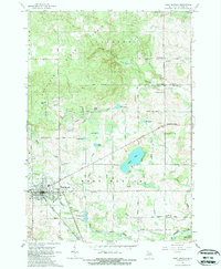 Download a high-resolution, GPS-compatible USGS topo map for West Branch, MI (1982 edition)