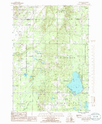 Download a high-resolution, GPS-compatible USGS topo map for Westwood, MI (1986 edition)