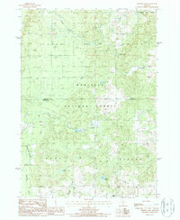 Download a high-resolution, GPS-compatible USGS topo map for Whipple Lake, MI (1987 edition)