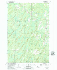 Download a high-resolution, GPS-compatible USGS topo map for Whitney, MI (1989 edition)