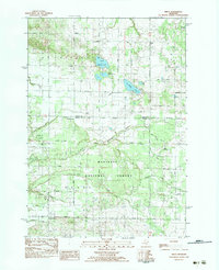 preview thumbnail of historical topo map of Oceana County, MI in 1983