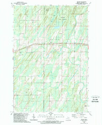 Download a high-resolution, GPS-compatible USGS topo map for Wilson, MI (1989 edition)