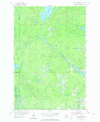 Download a high-resolution, GPS-compatible USGS topo map for Witch Lake NE, MI (1974 edition)