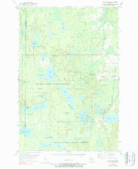Download a high-resolution, GPS-compatible USGS topo map for Witch Lake, MI (1990 edition)