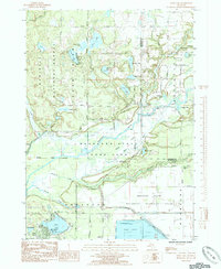Download a high-resolution, GPS-compatible USGS topo map for Wolf Lake, MI (1985 edition)