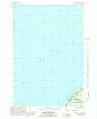 Download a high-resolution, GPS-compatible USGS topo map for Wood Island SE, MI (1985 edition)