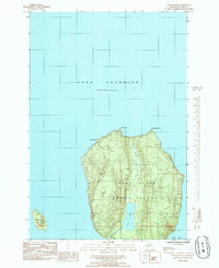 Download a high-resolution, GPS-compatible USGS topo map for Wood Island, MI (1985 edition)