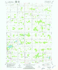 Download a high-resolution, GPS-compatible USGS topo map for Woodbury, MI (1979 edition)