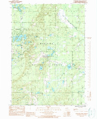 Download a high-resolution, GPS-compatible USGS topo map for Woodland Park, MI (1990 edition)