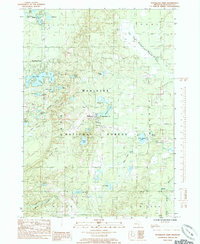 Download a high-resolution, GPS-compatible USGS topo map for Woodland Park, MI (1985 edition)
