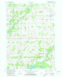 Download a high-resolution, GPS-compatible USGS topo map for Woodland, MI (1981 edition)