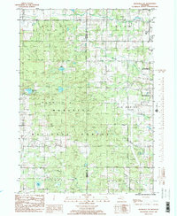 Download a high-resolution, GPS-compatible USGS topo map for Woodville NE, MI (1985 edition)
