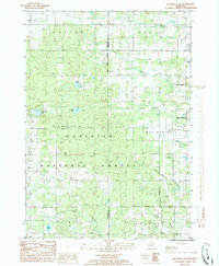 Download a high-resolution, GPS-compatible USGS topo map for Woodville NE, MI (1985 edition)