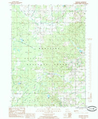 Download a high-resolution, GPS-compatible USGS topo map for Woodville, MI (1985 edition)