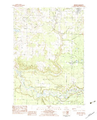 Download a high-resolution, GPS-compatible USGS topo map for Brethren, MI (1983 edition)
