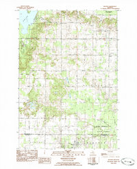 Download a high-resolution, GPS-compatible USGS topo map for Buckley, MI (1984 edition)