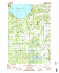 Download a high-resolution, GPS-compatible USGS topo map for Burdickville, MI (1984 edition)