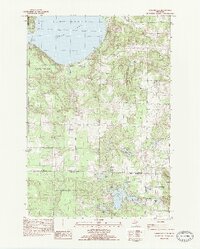 Download a high-resolution, GPS-compatible USGS topo map for Burdickville, MI (1984 edition)
