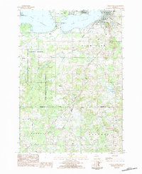 Download a high-resolution, GPS-compatible USGS topo map for Cadillac South, MI (1984 edition)