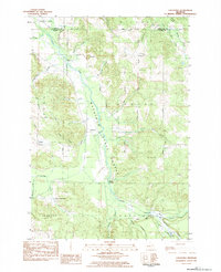 Download a high-resolution, GPS-compatible USGS topo map for Chestonia, MI (1984 edition)