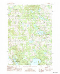 Download a high-resolution, GPS-compatible USGS topo map for Chippewa Lake North, MI (1984 edition)