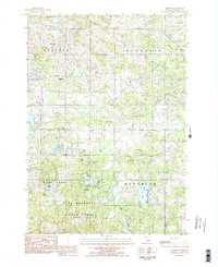 preview thumbnail of historical topo map of Osceola County, MI in 1983