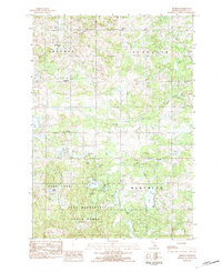 Download a high-resolution, GPS-compatible USGS topo map for Dighton, MI (1984 edition)