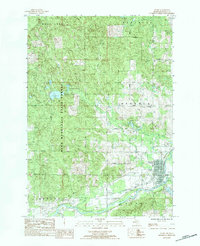 Download a high-resolution, GPS-compatible USGS topo map for Evart, MI (1984 edition)