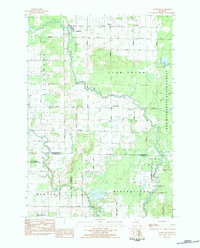 Download a high-resolution, GPS-compatible USGS topo map for Falmouth, MI (1984 edition)