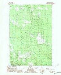 Download a high-resolution, GPS-compatible USGS topo map for Firesteel, MI (1983 edition)