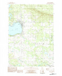 Download a high-resolution, GPS-compatible USGS topo map for Lake City, MI (1984 edition)