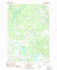Download a high-resolution, GPS-compatible USGS topo map for Lake NE, MI (1984 edition)