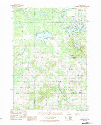 Download a high-resolution, GPS-compatible USGS topo map for Lake, MI (1984 edition)