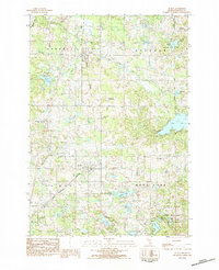 Download a high-resolution, GPS-compatible USGS topo map for Le Roy, MI (1984 edition)