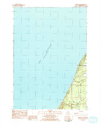 preview thumbnail of historical topo map of Mason County, MI in 1982
