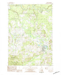 Download a high-resolution, GPS-compatible USGS topo map for Manton, MI (1984 edition)