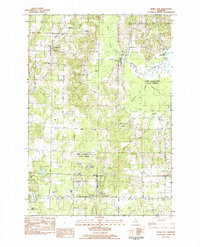 Download a high-resolution, GPS-compatible USGS topo map for Maple City, MI (1984 edition)