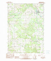 Download a high-resolution, GPS-compatible USGS topo map for Marion, MI (1984 edition)