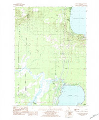 Download a high-resolution, GPS-compatible USGS topo map for Meads Landing, MI (1984 edition)