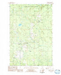 Download a high-resolution, GPS-compatible USGS topo map for Melstrand, MI (1984 edition)