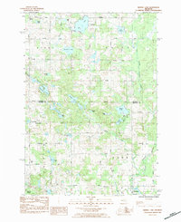 Download a high-resolution, GPS-compatible USGS topo map for Merrill Lake, MI (1984 edition)
